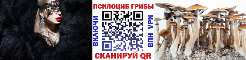 Галлюциногенные грибы Psilocybe  цены наркотик  Ленинск 